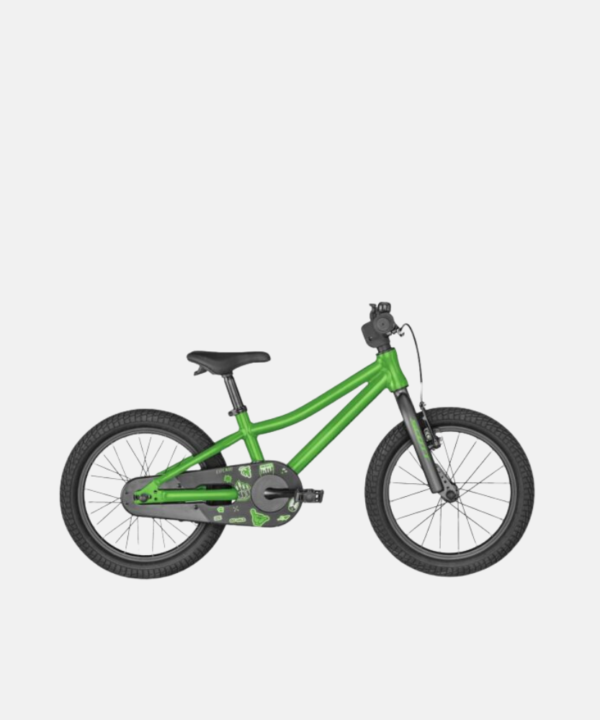 Scott Roxter Green
