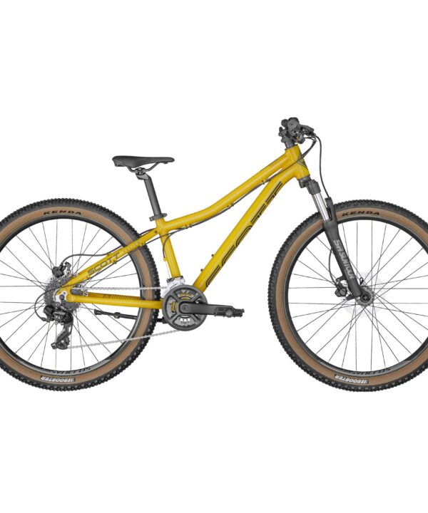 Scott Roxter 26 disc