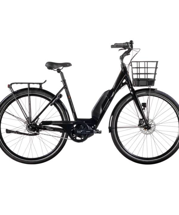 Ecoride Ambassador AXS M-5 E5 28
