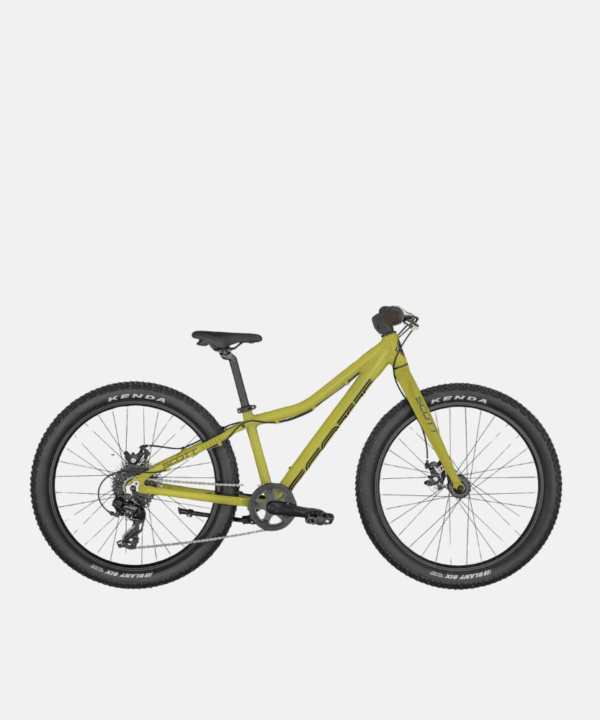 Scott Roxter 24 Green