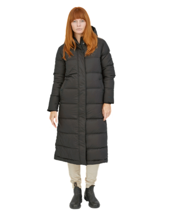 Patagonia Women's Silent Down Long Parka