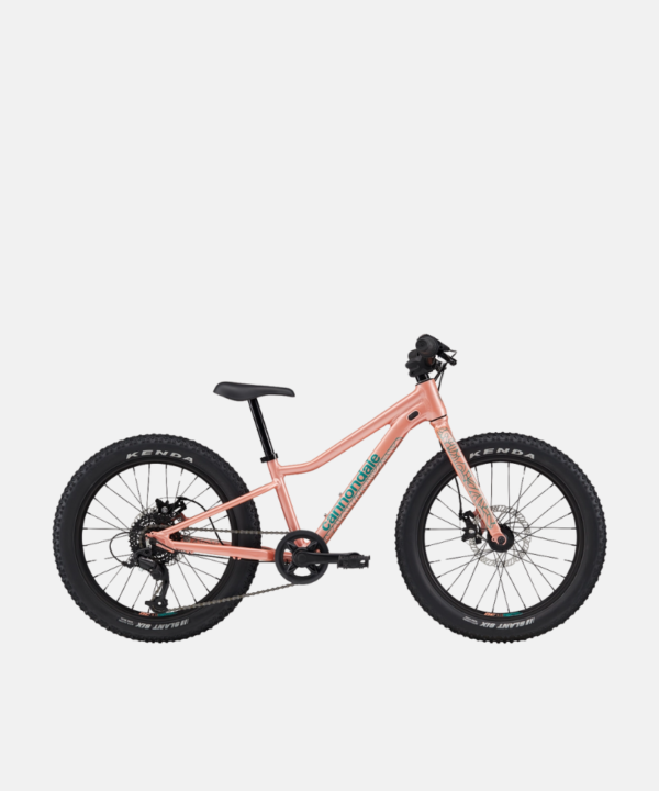 Cannondale Trail Plus 20 Salmon