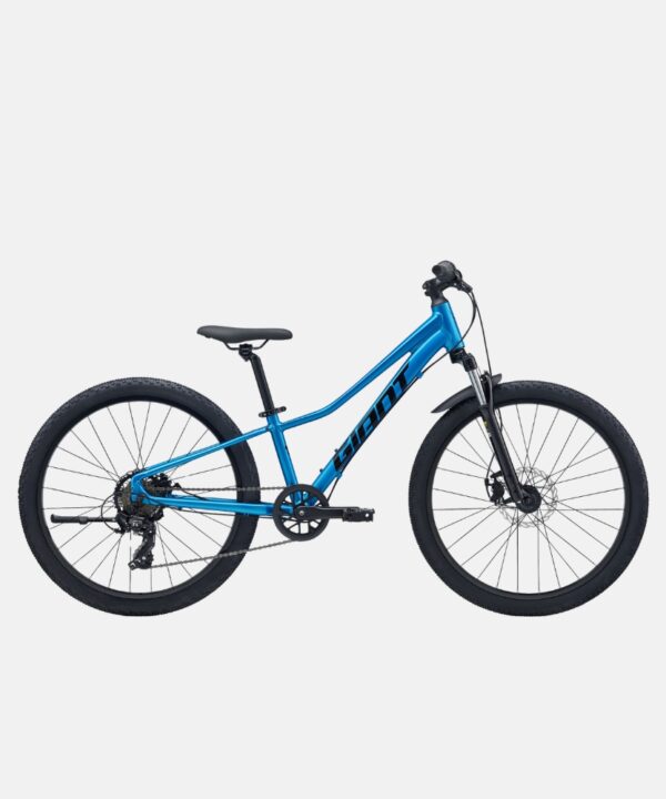 Giant Talon 24 Disc