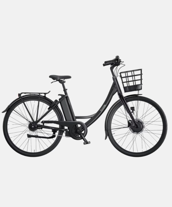 Ecoride c100 Ambassador Gen3 - H-7